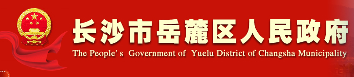 Yuelu District government computer room project